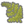 Delicate Frond