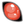Paels Eye