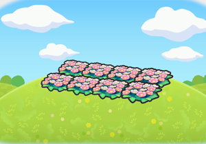 Field of flowers
