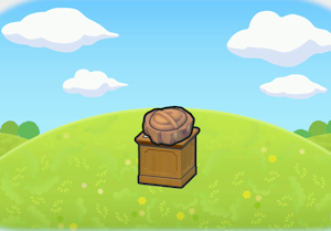 Armor Fossil display