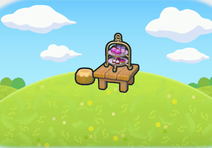 Elegant daytime treats